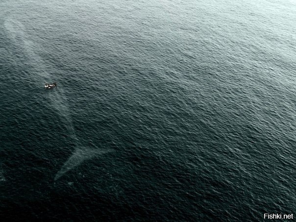 Вот почему я боюсь океана