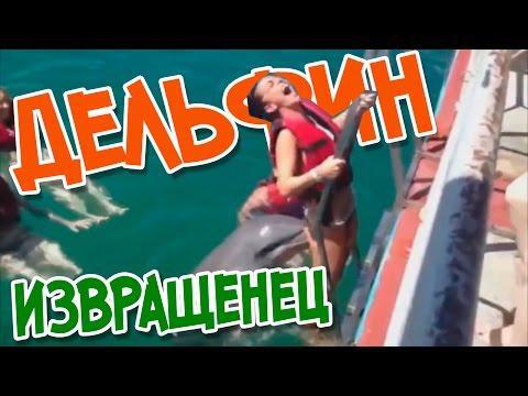 Best Epic Funny Videos &amp; COUB - Дельфин извращенец