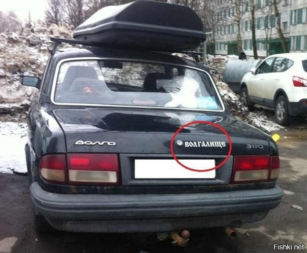 Из солянки