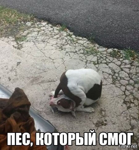 Из солянки