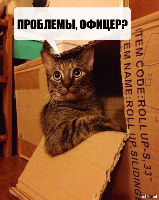 Из солянки