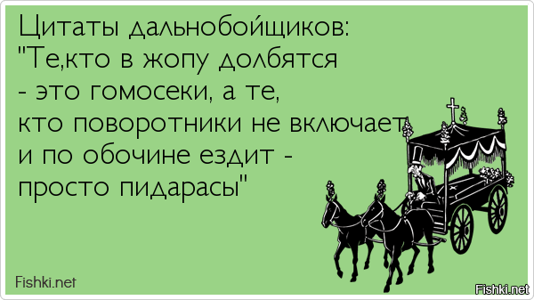 Из солянки