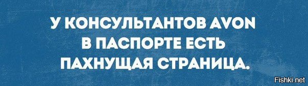 Из солянки