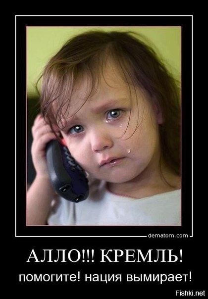 Из солянки