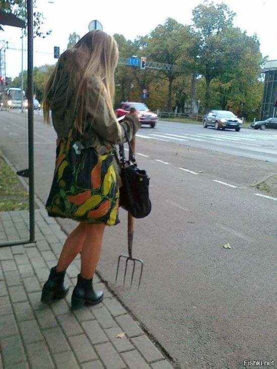 Из солянки