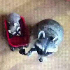 Из солянки