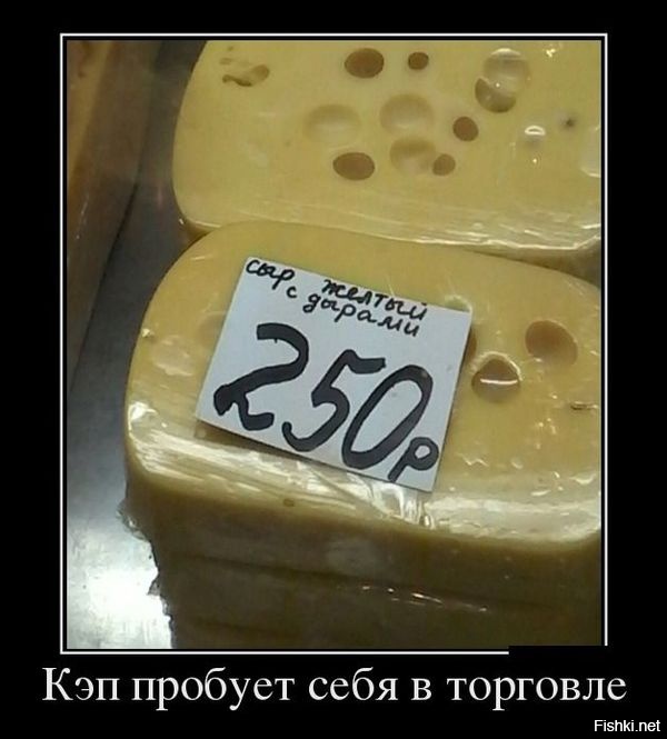 Из солянки
