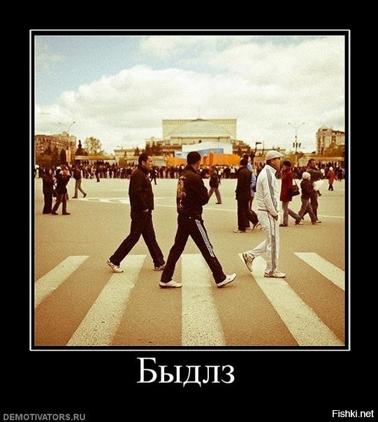 Из солянки