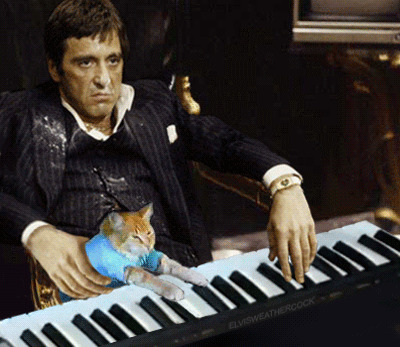 Из солянки