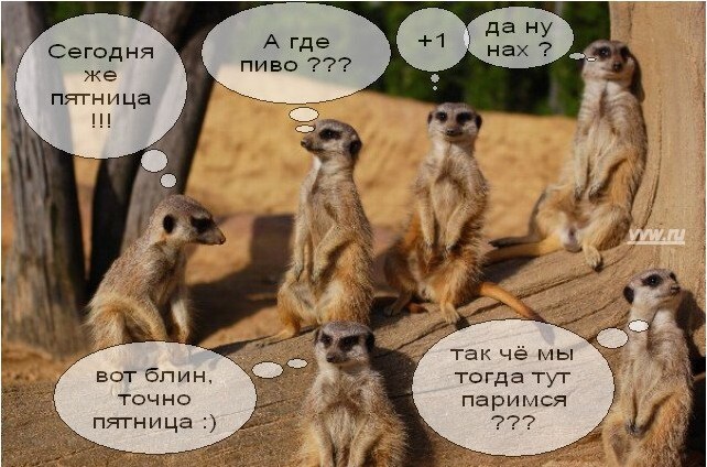 Что делать в пятницу вечером