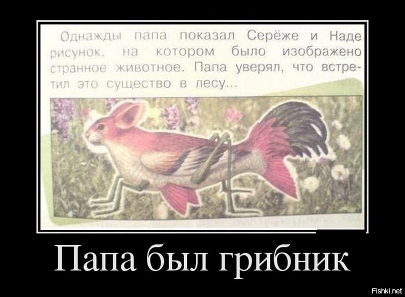 Из солянки