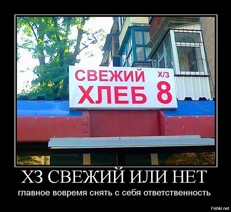 Из солянки