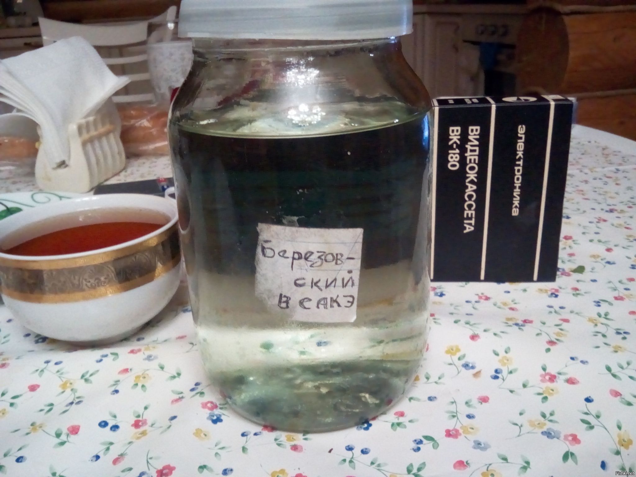Из солянки