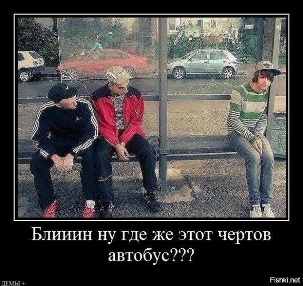 Из солянки