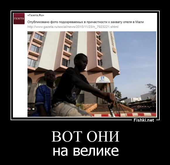 Вот они