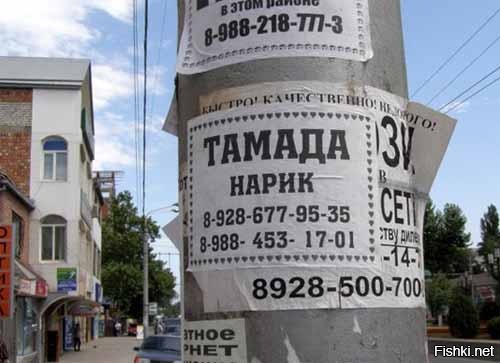 Из солянки