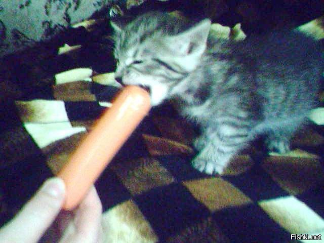 не вместится ,не вместится -ВЛЕЗЕТ