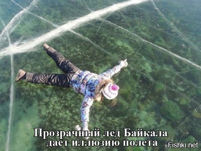 Из солянки