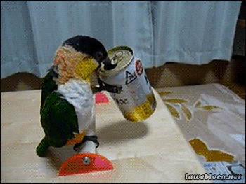 Попугай пьет сок