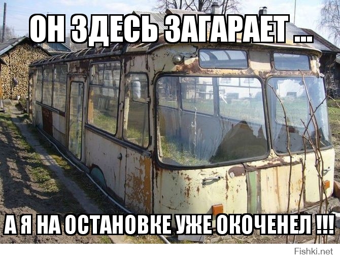 он здесь загарает ...