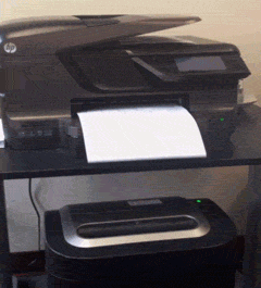 Из принтера сразу в шредер