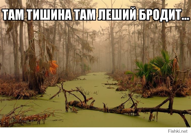 там тишина там леший бродит...