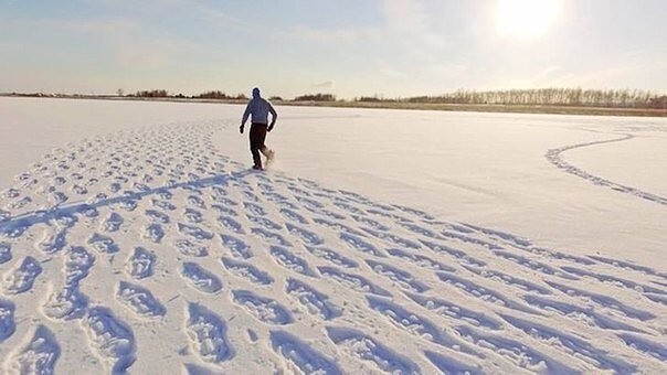 Этот художник целыми днями топчет Сибирь