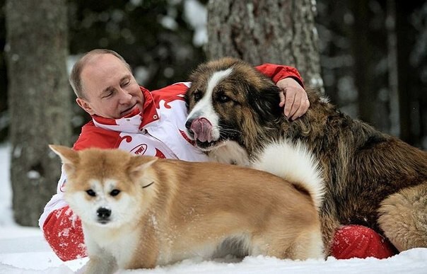 Символом внешней политики Путина стали собаки 