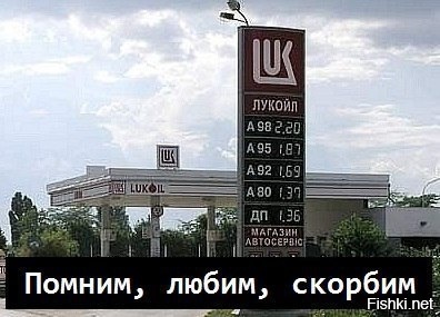 Из солянки