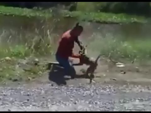 Получил люлей от обезьяны-байкера.