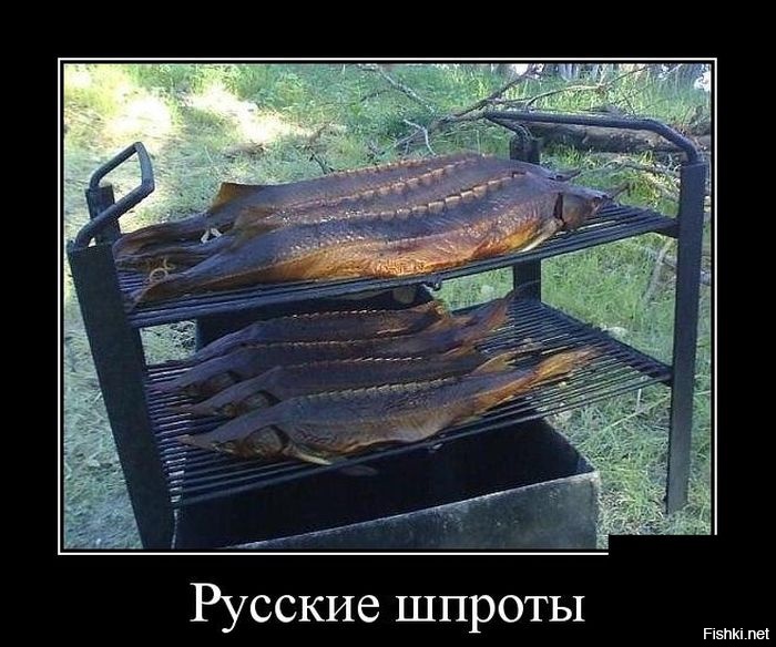 Из солянки