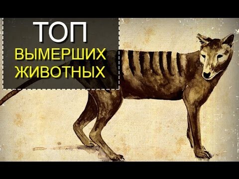 ТОП 5 Вымерших Животных, которые попали на плёнку