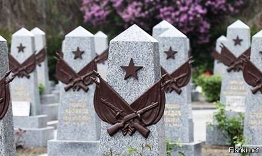 В Польше задержали разрушителя надгробий советских солдат