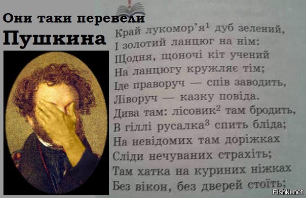 Из солянки