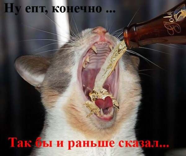 Жажда