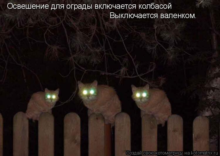 У нас на даче.