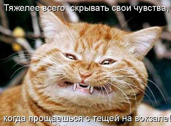 Искренность.