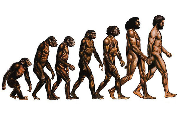 13 мифов об эволюции человека