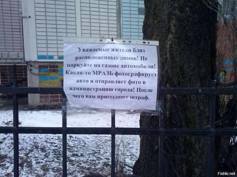 Из солянки