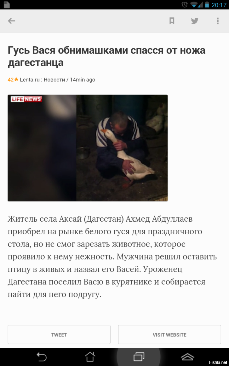 Из солянки