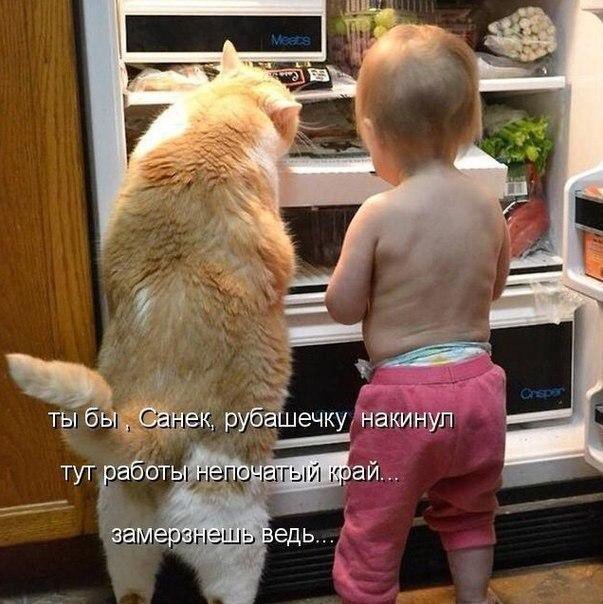 Взлом холодильника