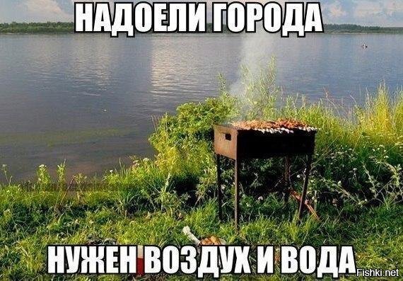 Из солянки