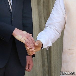 Рука принца Уильяма после рукопожатия с премьер-министром Индии