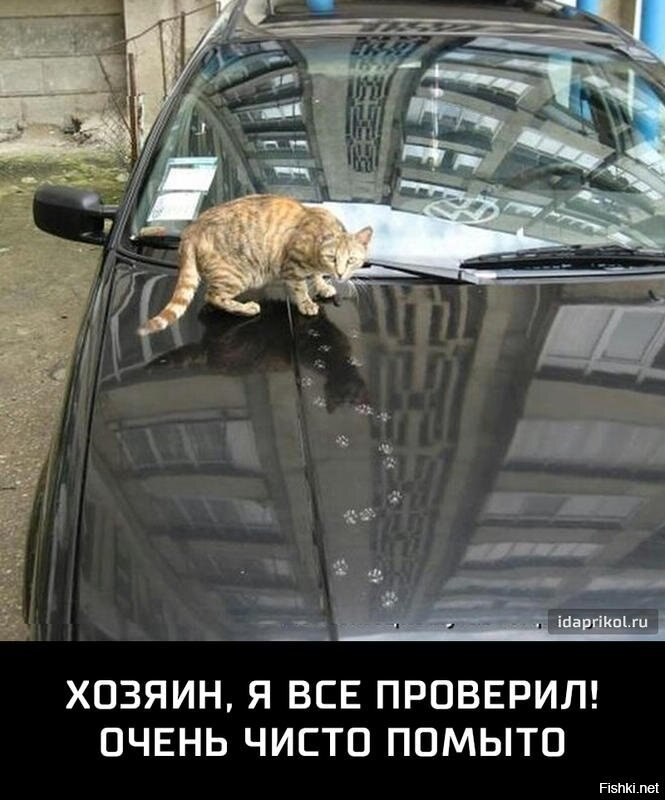 Из солянки
