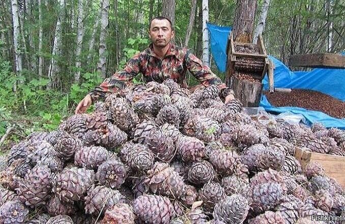 ...И тропинка и лесок
В поле каждый колосок
Речка, небо голубое
Это все мое р...