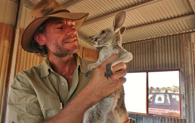 Крис Барнс - спаситель детенышей кенгуру