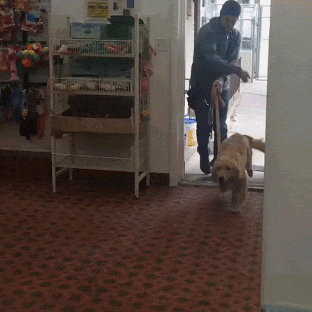 Радость встречи