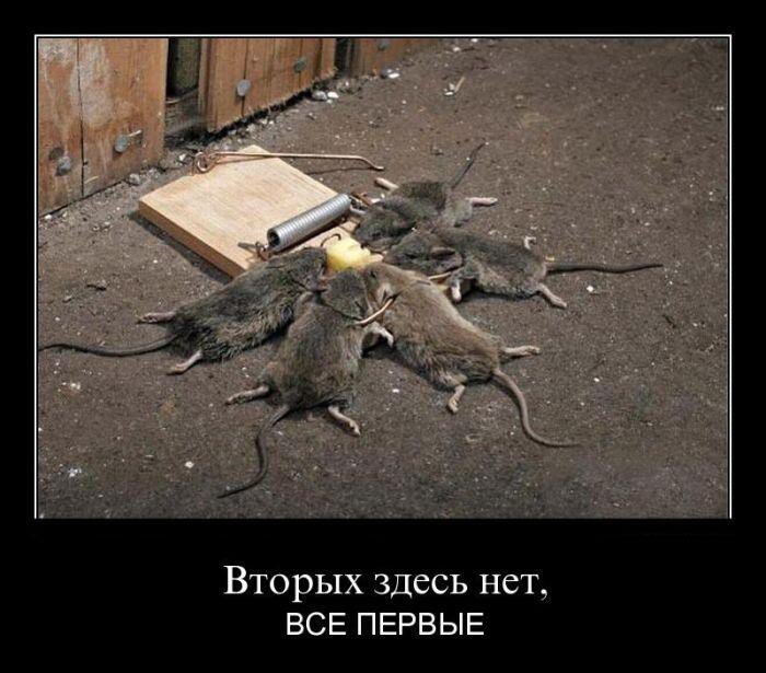Кидалово или исповедь терпилы!
