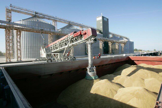 Россия рекордно наращивает экспорт пшеницы, кукурузы