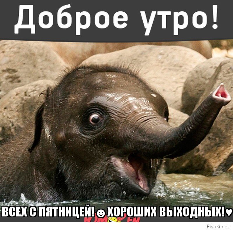 ВСЕХ С ПЯТНИЦЕЙ!☻ХОРОШИХ ВЫХОДНЫХ!♥